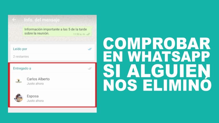 ¿cómo Saber Si Alguien No Te Tiene En Sus Contactos De Whatsapp Haras Dadincoemk 6940