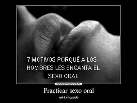 Por qué me gusta tanto el sexo oral Haras Dadinco