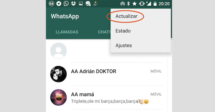 ¿por Qué No Aparecen Los Contactos En Whatsapp Haras Dadincoemk 7198