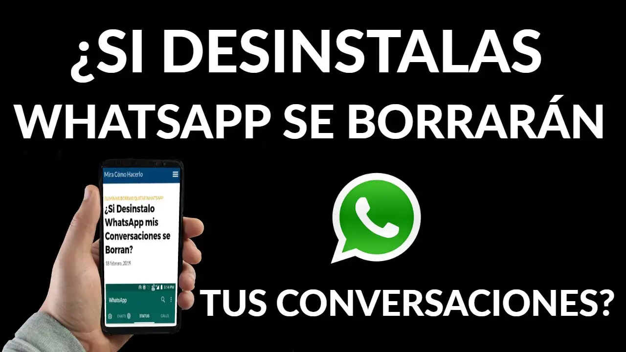 ¿qué Pasa Si Se Desinstala El Whatsapp Haras Dadinco