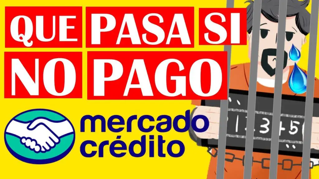 Qu Pasa Si No Pago En Mercado Libre Haras Dadinco