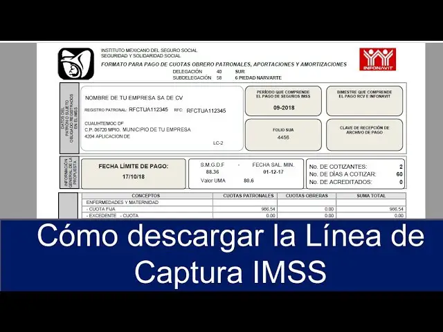 ¿dónde Puedo Pagar La Línea De Captura Del Imss Haras Dadincoemk 5230